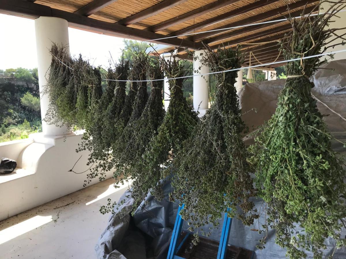 B&B Al Salvatore Di Lipari Ngoại thất bức ảnh